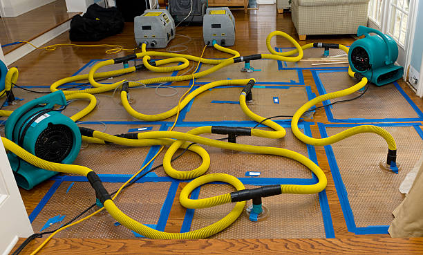 Professional Structural Drying And Dehumidification technician working in Longview, TX